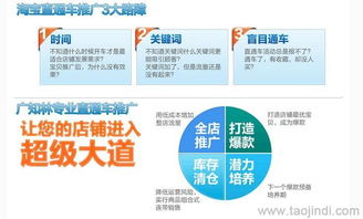 天貓店鋪推廣與運營全攻略 裝修、拍照、產品描述與軟件開發價格解析