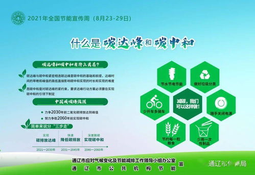 軟件開發(fā)賦能節(jié)能降碳 2021年全國節(jié)能宣傳周綠色技術(shù)實踐與展望